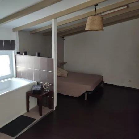 Jolie Maison De Ville Avec Terrasse Ombragee * Niort